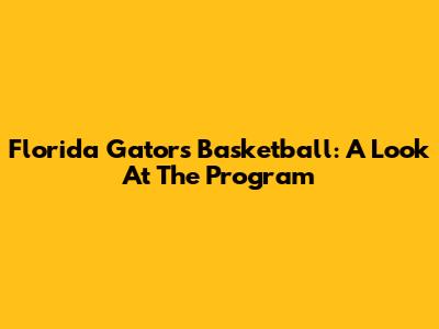 Florida Gators Basketball: A Look At The Program