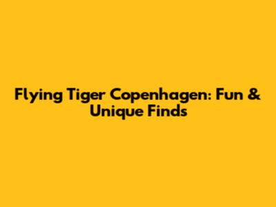 Flying Tiger Copenhagen: Fun & Unique Finds