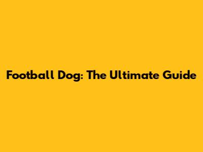 Football Dog: The Ultimate Guide