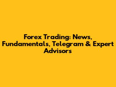 Forex Trading: News, Fundamentals, Telegram & Expert Advisors