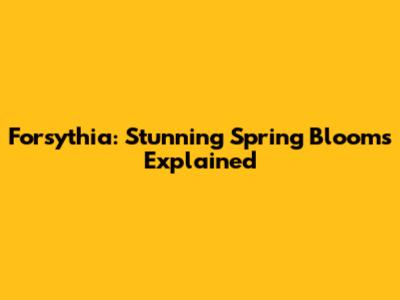 Forsythia: Stunning Spring Blooms Explained