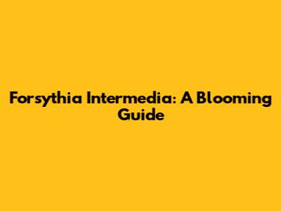 Forsythia Intermedia: A Blooming Guide