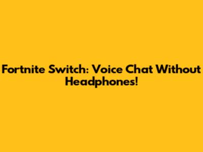 Fortnite Switch: Voice Chat Without Headphones!