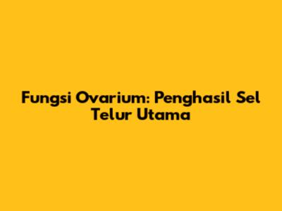 Fungsi Ovarium: Penghasil Sel Telur Utama