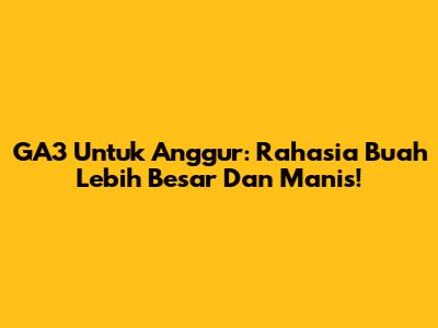 GA3 Untuk Anggur: Rahasia Buah Lebih Besar Dan Manis!