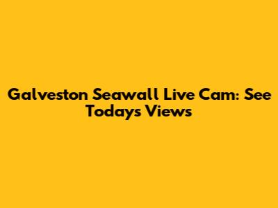 Galveston Seawall Live Cam: See Today's Views