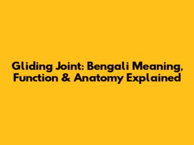Gliding Joint: Bengali Meaning, Function & Anatomy Explained