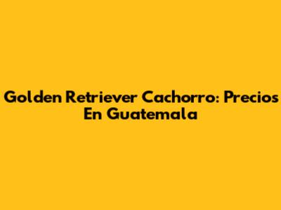 Golden Retriever Cachorro: Precios En Guatemala