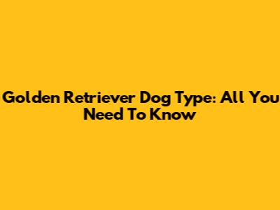 Golden Retriever Dog Type: All You Need To Know