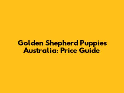 Golden Shepherd Puppies Australia: Price Guide