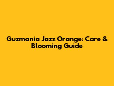 Guzmania Jazz Orange: Care & Blooming Guide