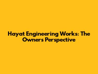 Hayat Engineering Works: The Owner's Perspective