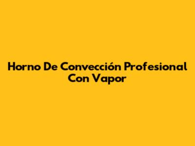 Horno De Convección Profesional Con Vapor