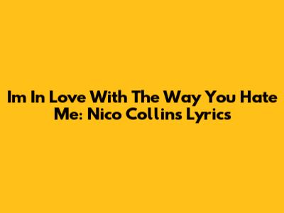 I'm In Love With The Way You Hate Me: Nico Collins Lyrics