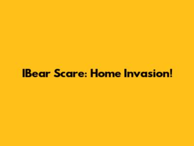 IBear Scare: Home Invasion!