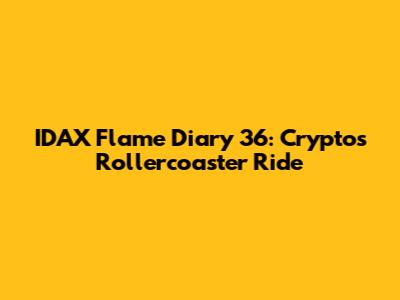 IDAX Flame Diary 36: Crypto's Rollercoaster Ride