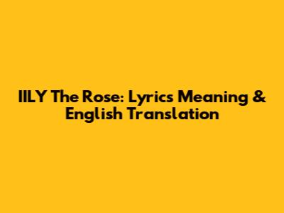 IILY The Rose: Lyrics Meaning & English Translation