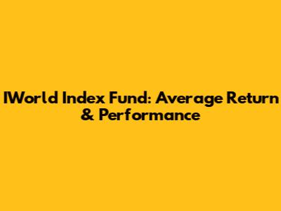 IWorld Index Fund: Average Return & Performance