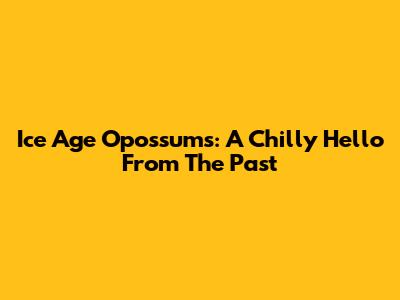 Ice Age Opossums: A Chilly Hello From The Past