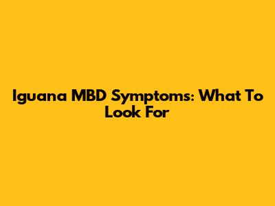 Iguana MBD Symptoms: What To Look For