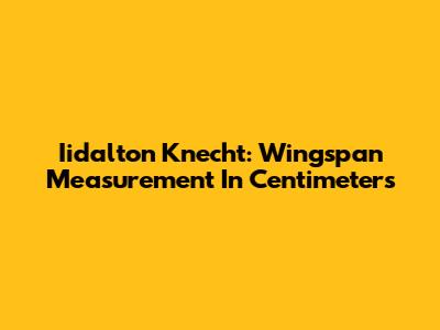 Iidalton Knecht: Wingspan Measurement In Centimeters