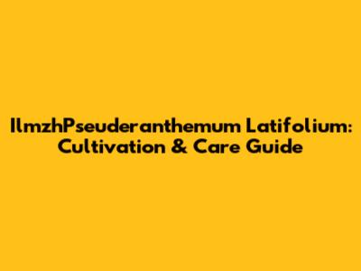 IlmzhPseuderanthemum Latifolium: Cultivation & Care Guide