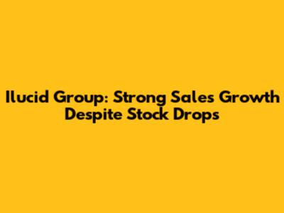 Ilucid Group: Strong Sales Growth Despite Stock Drops