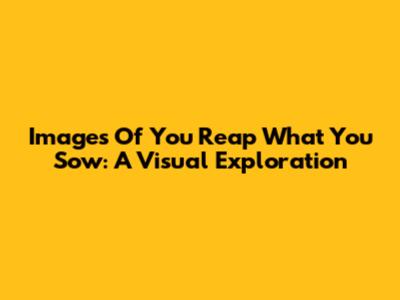 Images Of You Reap What You Sow: A Visual Exploration