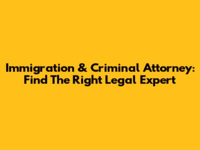 Immigration & Criminal Attorney: Find The Right Legal Expert