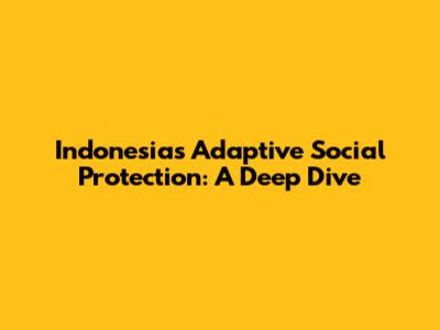 Indonesia's Adaptive Social Protection: A Deep Dive