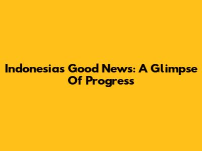 Indonesia's Good News: A Glimpse Of Progress