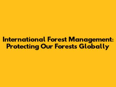 International Forest Management: Protecting Our Forests Globally