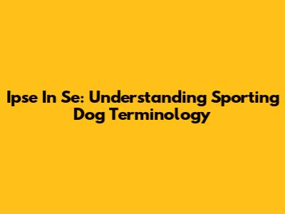 Ipse In Se: Understanding Sporting Dog Terminology