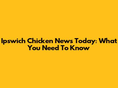 Ipswich Chicken News Today: What You Need To Know