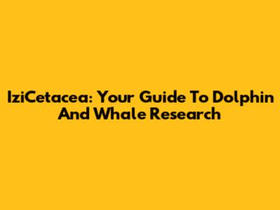 IziCetacea: Your Guide To Dolphin And Whale Research