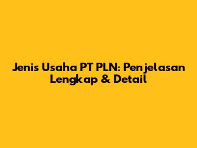 Jenis Usaha PT PLN: Penjelasan Lengkap & Detail