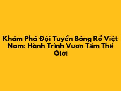Khám Phá Đội Tuyển Bóng Rổ Việt Nam: Hành Trình Vươn Tầm Thế Giới