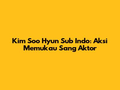 Kim Soo Hyun Sub Indo: Aksi Memukau Sang Aktor