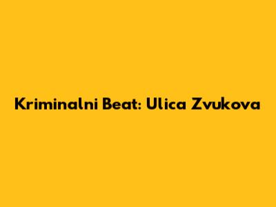 Kriminalni Beat: Ulica Zvukova