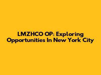 LMZHCO OP: Exploring Opportunities In New York City