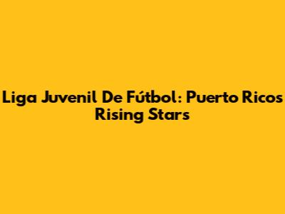 Liga Juvenil De Fútbol: Puerto Rico's Rising Stars