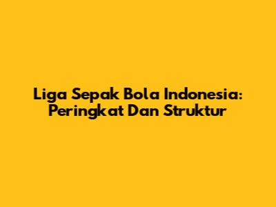 Liga Sepak Bola Indonesia: Peringkat Dan Struktur