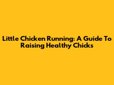 Little Chicken Running: A Guide To Raising Healthy Chicks