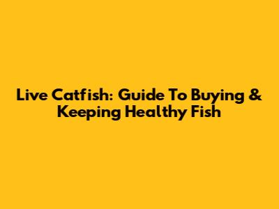 Live Catfish: Guide To Buying & Keeping Healthy Fish