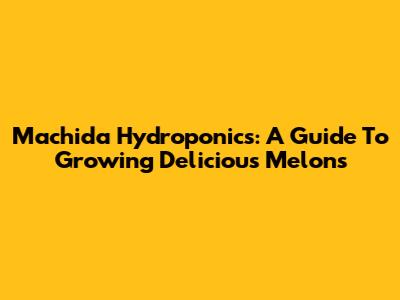 Machida Hydroponics: A Guide To Growing Delicious Melons
