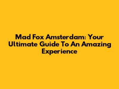 Mad Fox Amsterdam: Your Ultimate Guide To An Amazing Experience