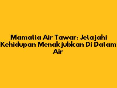 Mamalia Air Tawar: Jelajahi Kehidupan Menakjubkan Di Dalam Air