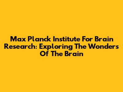 Max Planck Institute For Brain Research: Exploring The Wonders Of The Brain
