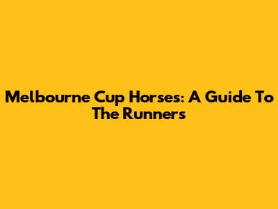 Melbourne Cup Horses: A Guide To The Runners