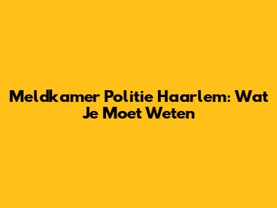 Meldkamer Politie Haarlem: Wat Je Moet Weten
